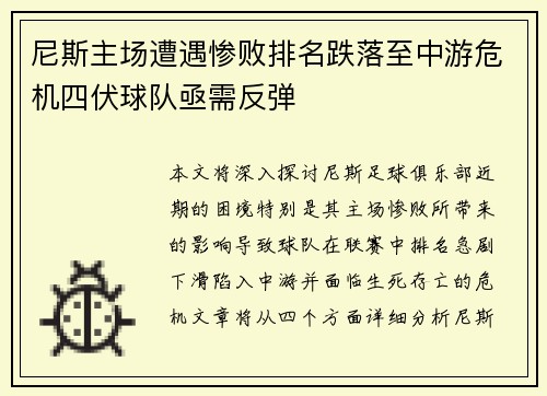 尼斯主场遭遇惨败排名跌落至中游危机四伏球队亟需反弹